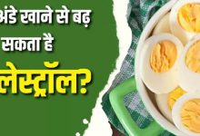 Photo of क्या रोज अंडे खाने से बढ़ सकता है कोलेस्ट्रॉल? यहां जानें