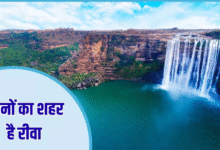 Photo of झरनों की खूबसूरती में खो जाने का है मन? तो इस मानसून में घूम आइए Rewa