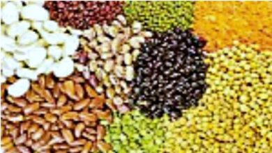 Photo of गोरखपुर में बनेगा प्रदेश का पहला कॉमन फैसिलिटी सेंटर