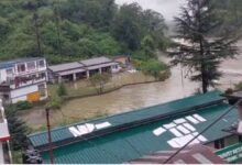 Photo of बारिश से बढ़ा यमुना का जलस्तर, स्यानाचट्टी फिर हुआ जलमग्न