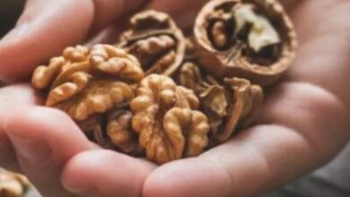 Photo of दिन में किस समय खाएं अखरोट ताकि सेहत को मिले दोगुना फायदा
