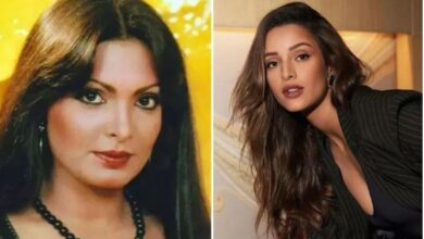 Photo of पर्दे पर परवीन बाबी बनेंगी तृप्ति डिमरी, दिवाली पर फैंस को मिलेगा बिग सरप्राइज