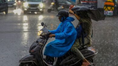 Photo of यूपी: धूप और उमस ने किया परेशान, आज इन जिलों में हो सकती है बारिश