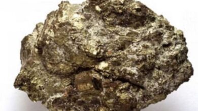 Photo of यूपी: सोनभद्र में यूरेनियम के लिए खोदाई… म्योरपुर के नकटू में 785 टन मौजूदगी के सबूत