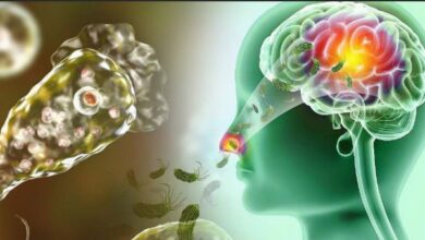 Photo of ब्रेन ईटिंग अमीबा, बुखार के साथ दिखें ये लक्षण तो तुरंत हो जाएं सावधान