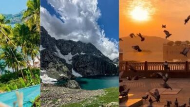 Photo of सोलो ट्रिप पर जाने का बना रहे हैं प्लान, तो भारत के ये 5 डेस्टिनेशन है बिल्कुल परफेक्ट