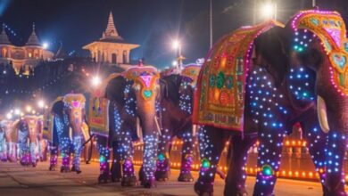 Photo of इन जगहों पर परिवार संग मनाएं दिवाली, मिलेगी रोशनी और खुशियों की सौगात