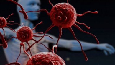 Photo of वैज्ञानिकों ने खोजा कैंसर के इलाज का नया तरीका