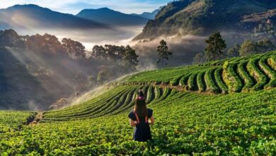 Photo of घूमने का मन है? नवंबर में भारत की ये जगहें हैं परफेक्ट ट्रिप डेस्टिनेशन