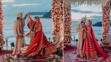 Photo of ‘दीया और बाती हम’ एक्टर एलन कपूर-रविरा ने लिए सात फेरे