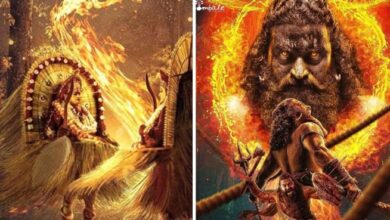 Photo of कांतारा की आग में भस्म हुई सैयारा