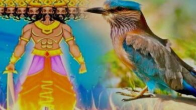 Photo of क्या है दशहरे का नीलकंठ से कनेक्शन