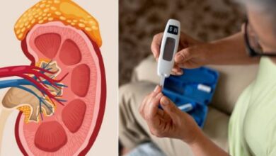 Photo of डायबिटीज रोगी हो जाएं सावधान, शुगर कंट्रोल नहीं तो आपकी किडनी भी खतरे में