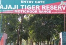 Photo of देहरादून: सैलानियों के लिए खुलेगा राजाजी टाइगर रिजर्व पार्क