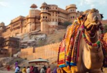 Photo of सर्दियों में घूम आइए राजस्थान, जयपुर से जैसलमेर तक