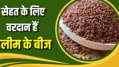 Photo of रोज हलीम के बीज खाने से शरीर में दिखेंगे 7 कमाल के बदलाव