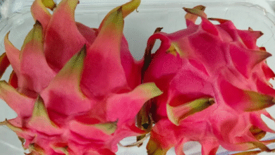 Photo of उत्तराखंड: ड्रैगन फ्रूट पर 80 प्रतिशत सब्सिडी दे रही सरकार