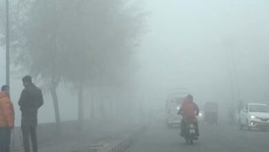 Photo of यूपी मे सर्दी और कोहरे को लेकर अलर्ट जारी