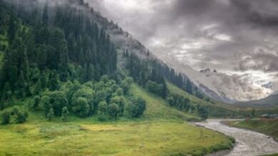 Photo of 11 दिसंबर को क्यों मनाते हैं अंतर्राष्ट्रीय पर्वत दिवस? जानें इतिहास और महत्व