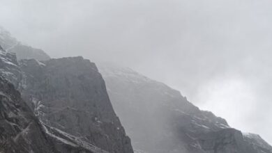 Photo of बारिश-बर्फबारी की बेरुखी का असर, छह जिलों में घने कोहरे की चेतावनी