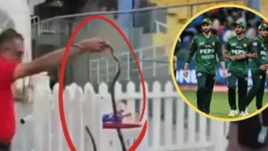 Photo of IND vs PAK: कोलंबो में महामुकाबले से पहले पाकिस्तान के डगआउट में निकला सांप