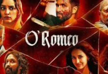 Photo of शाहिद कपूर की फिल्म ने तीन दिन के कलेक्शन से बॉक्स ऑफिस पर उड़ा दिया गर्दा