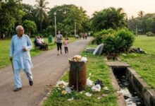 Photo of सेहत बनाने जिस ‘पार्क’ में जाते हैं आप, वहीं तो नहीं मंडरा रहा बीमारियों का खतरा?